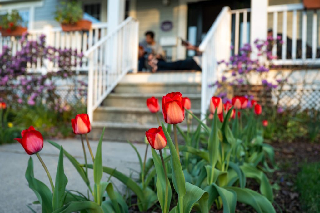 New Brunswick Household photo
